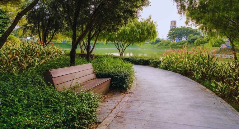 Banc en bois le long d'un chemin sinueux dans un parc au bord d'un lac