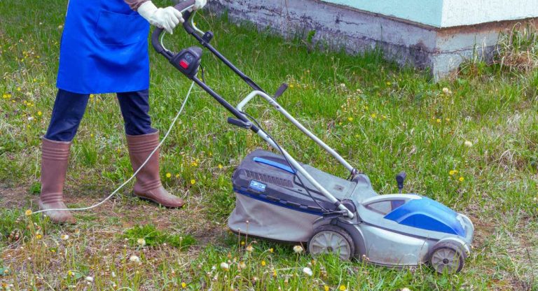 Tonte de pelouse dans un petit jardin à l'aide d'une tondeuse électrique