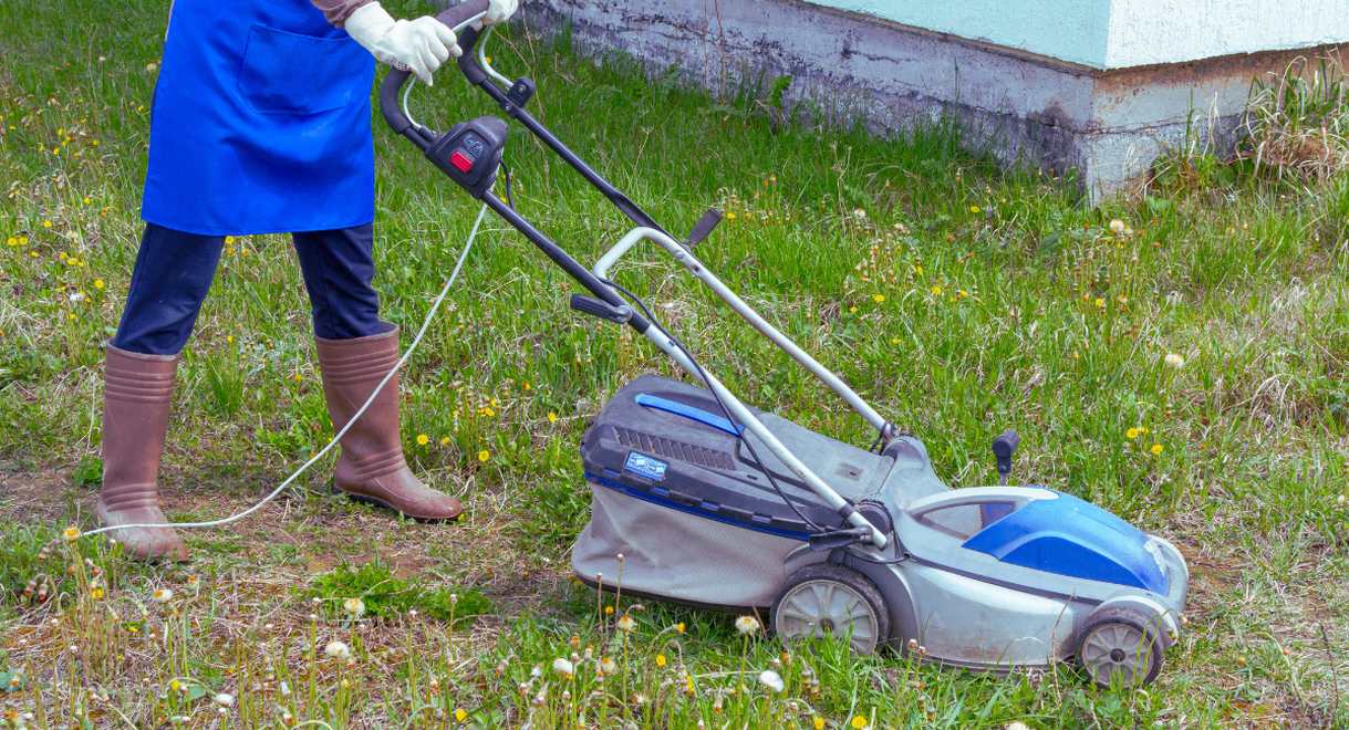 Tonte de pelouse dans un petit jardin à l'aide d'une tondeuse électrique